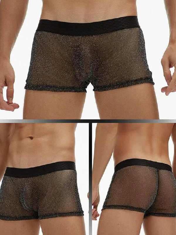 Men's Sheer Mesh Pouch Boxer